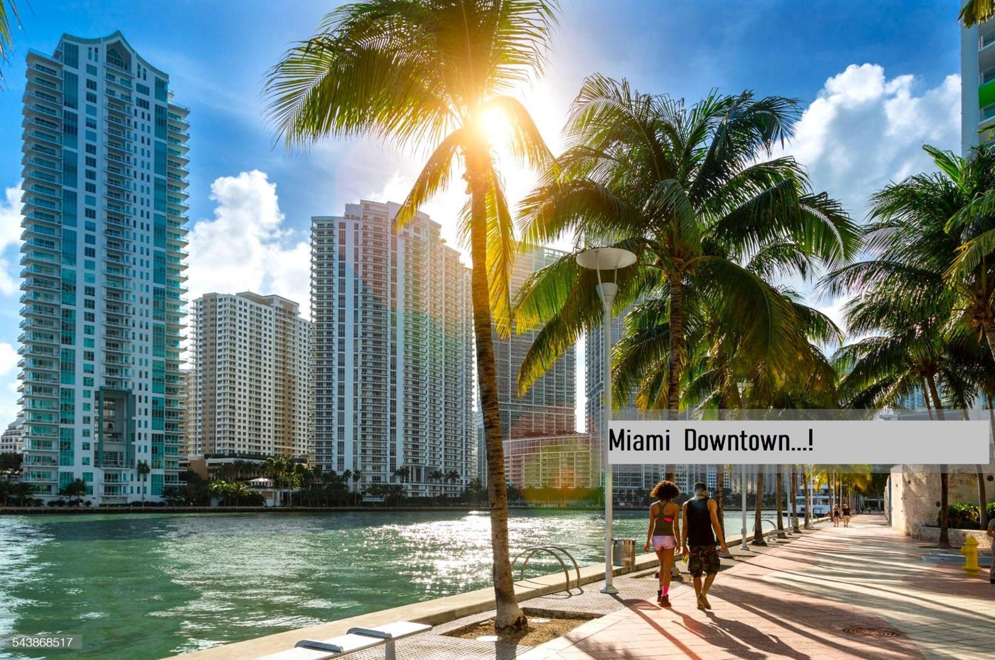 Experience The Perfect Miami Life!! Centrally Located Luxury Condo! ภายนอก รูปภาพ